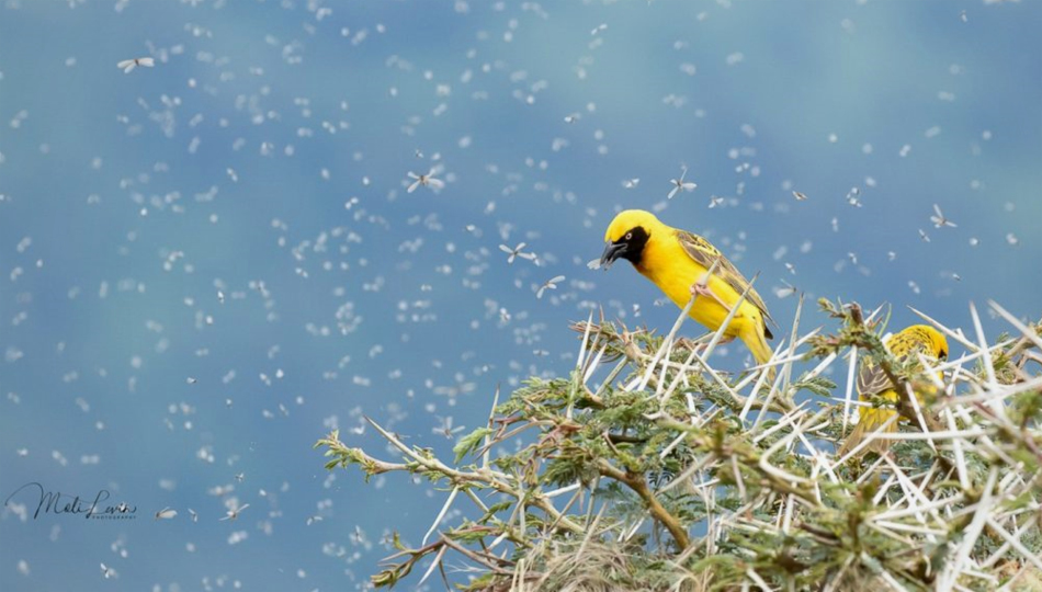 File 20180701 0839qez6nfrp3syk